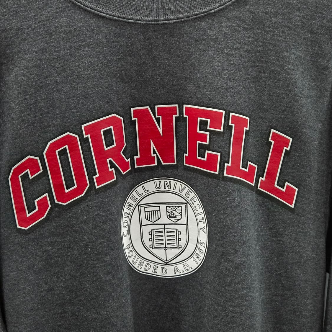 챔피온 에코 코넬 프린팅 기모 맨투맨 S  상품이미지2