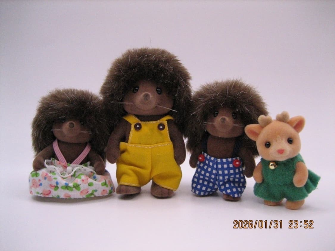 한글지원📸 캐논 IXY 60 (IXUS 55) ✨ 클래식 감성 상품이미지3