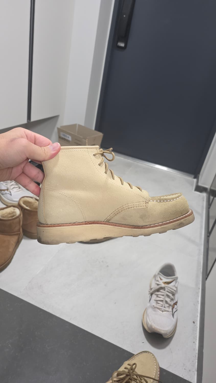 레드윙 여성 3328 7.5b사이즈(245) 판매합니다 상품이미지6