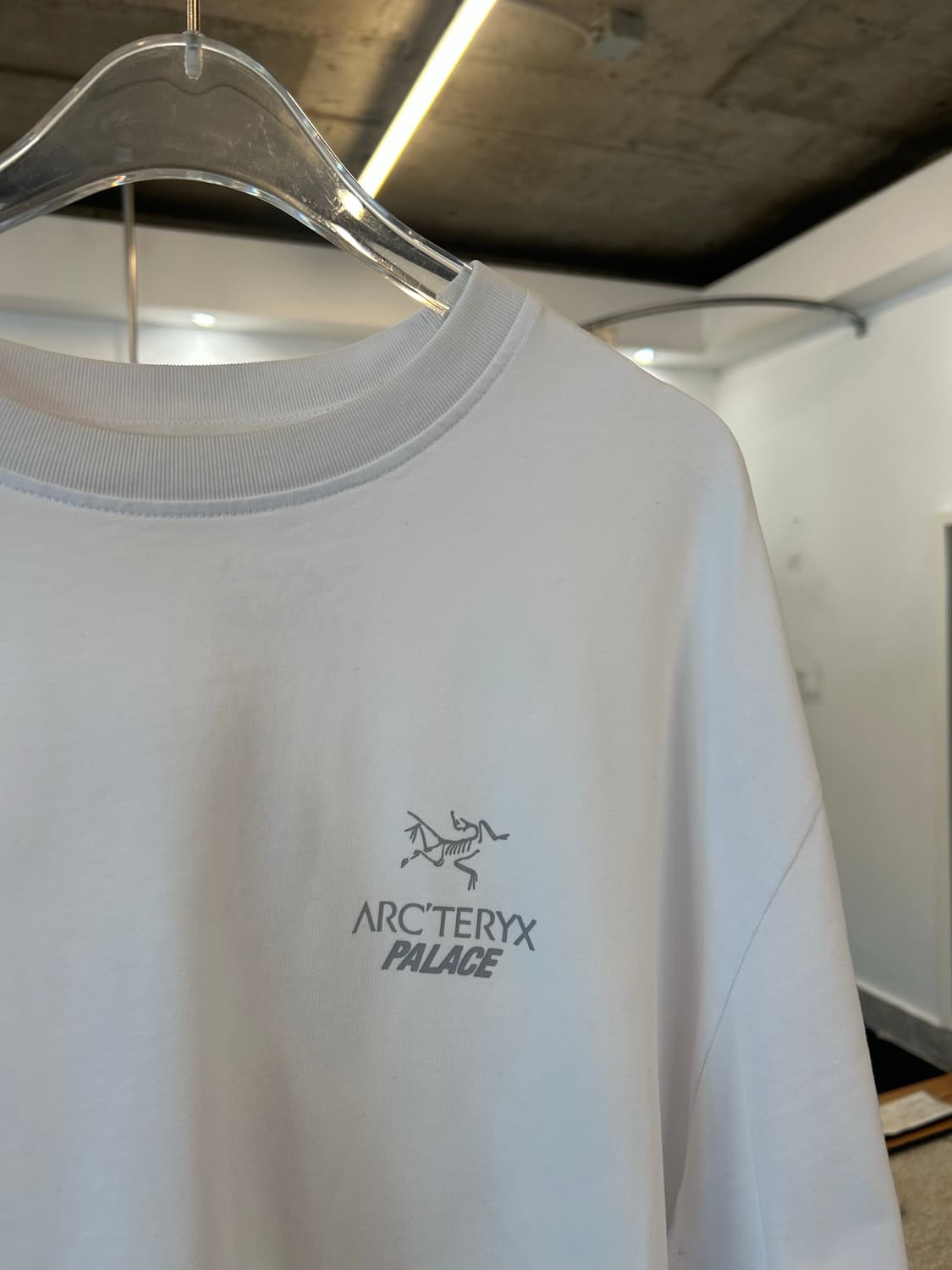 PALACE X ARC'TERYX t-shirt 상품이미지4
