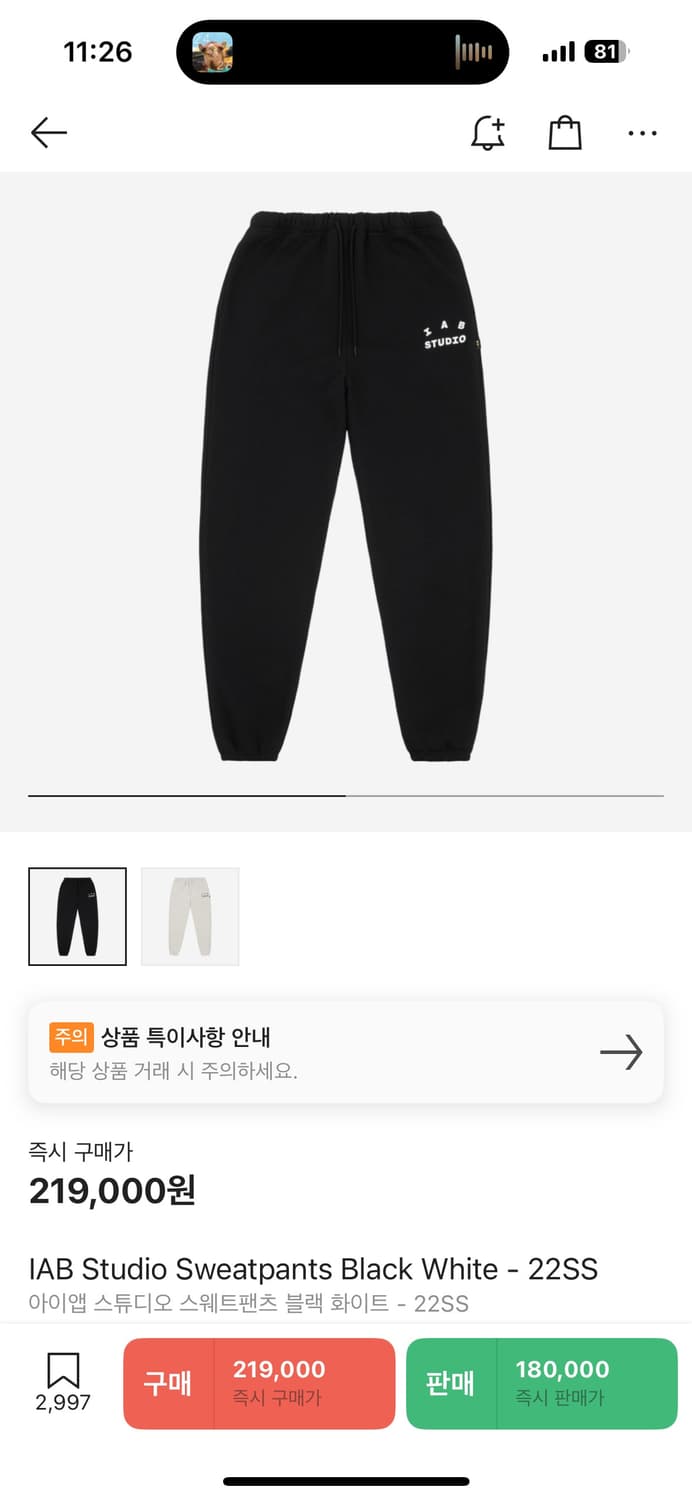 iabstudio 조거 상품이미지2