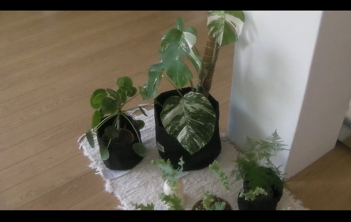 빈티지 디카 캠코더 산요 작티 DMX-CS1 / 작례있음 상품이미지6