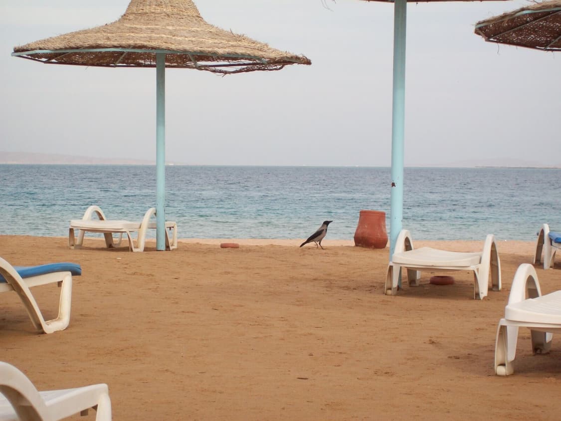 Kodak Easyshare C813 코닥 이지쉐어 카메라 디카 상품이미지9