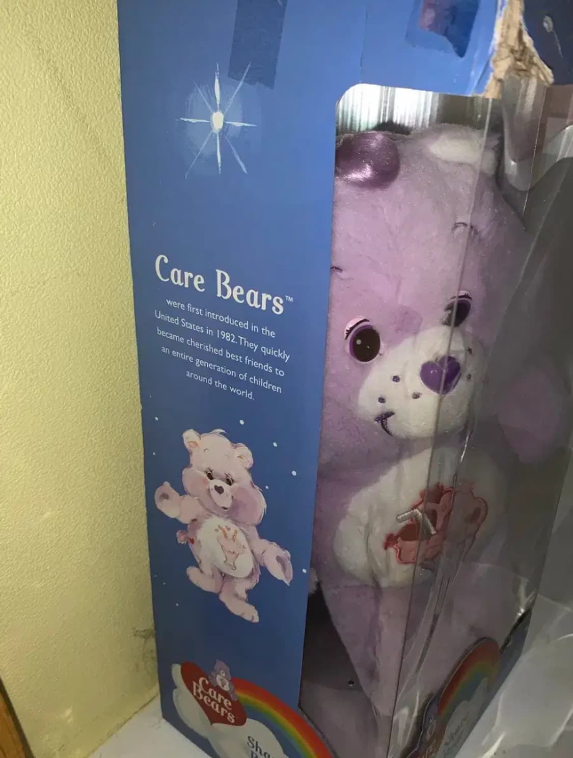 케어베어 빈티지 콜렉터 에디션 레어 쉐어베어 인형 상품이미지2