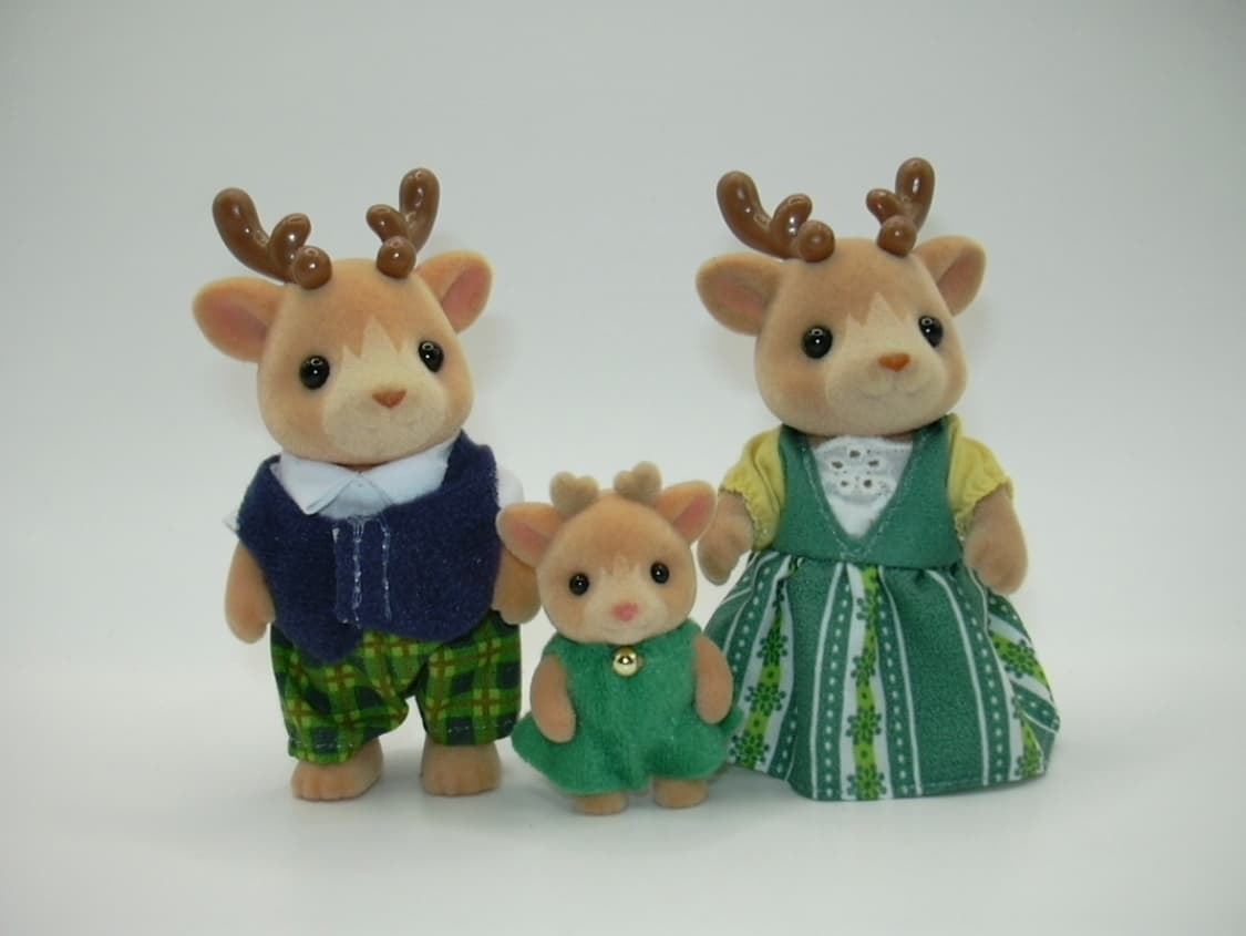 🫧 혜인픽 📸 니콘 쿨픽스 2000 상품이미지3