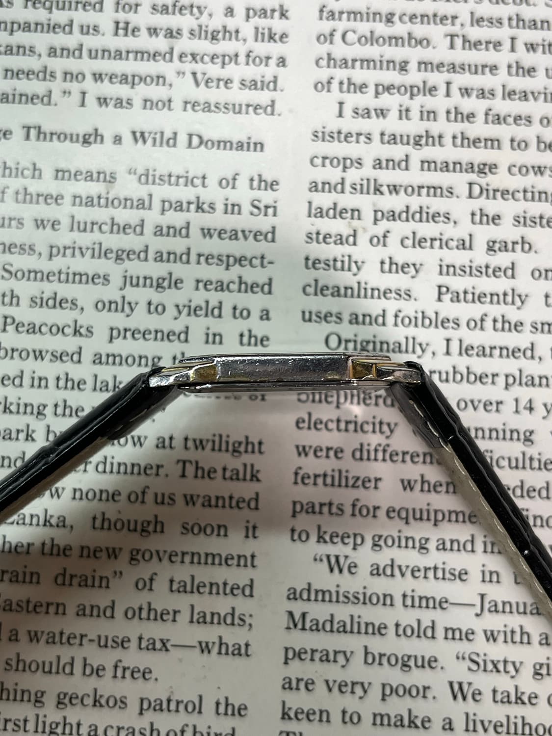 SEIKO DOLCE 쿼츠 상품이미지5