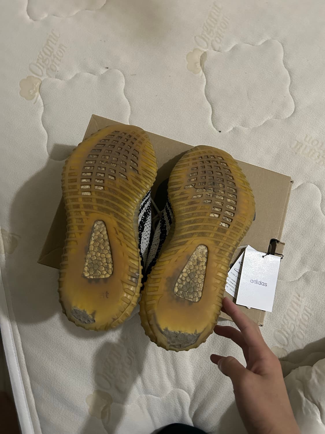 이지부스트 지브라 255 상품이미지4