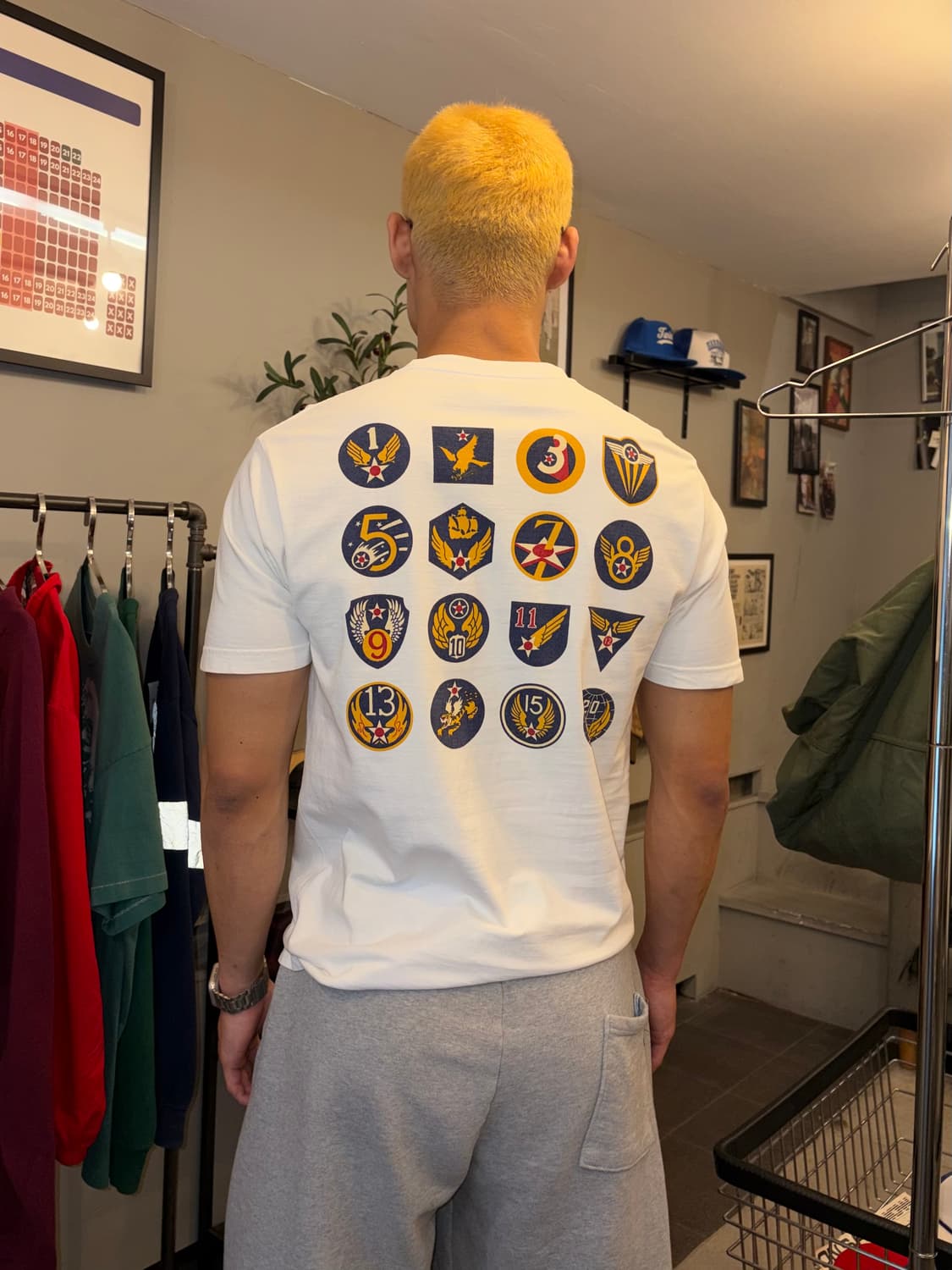 Buzz Rickson’s U.S Air Force insignia T 상품이미지1
