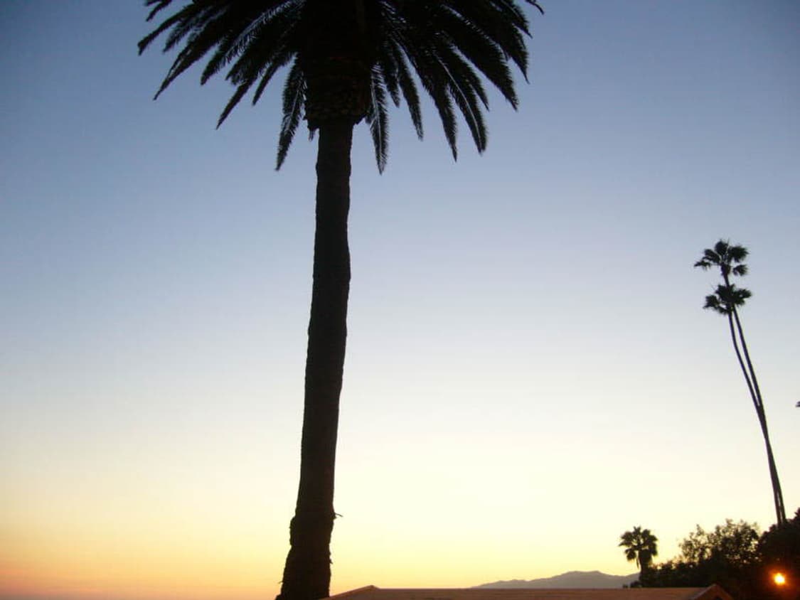 (A급) Canon IXUS 85IS (캐논 익서스 85IS) 상품이미지8