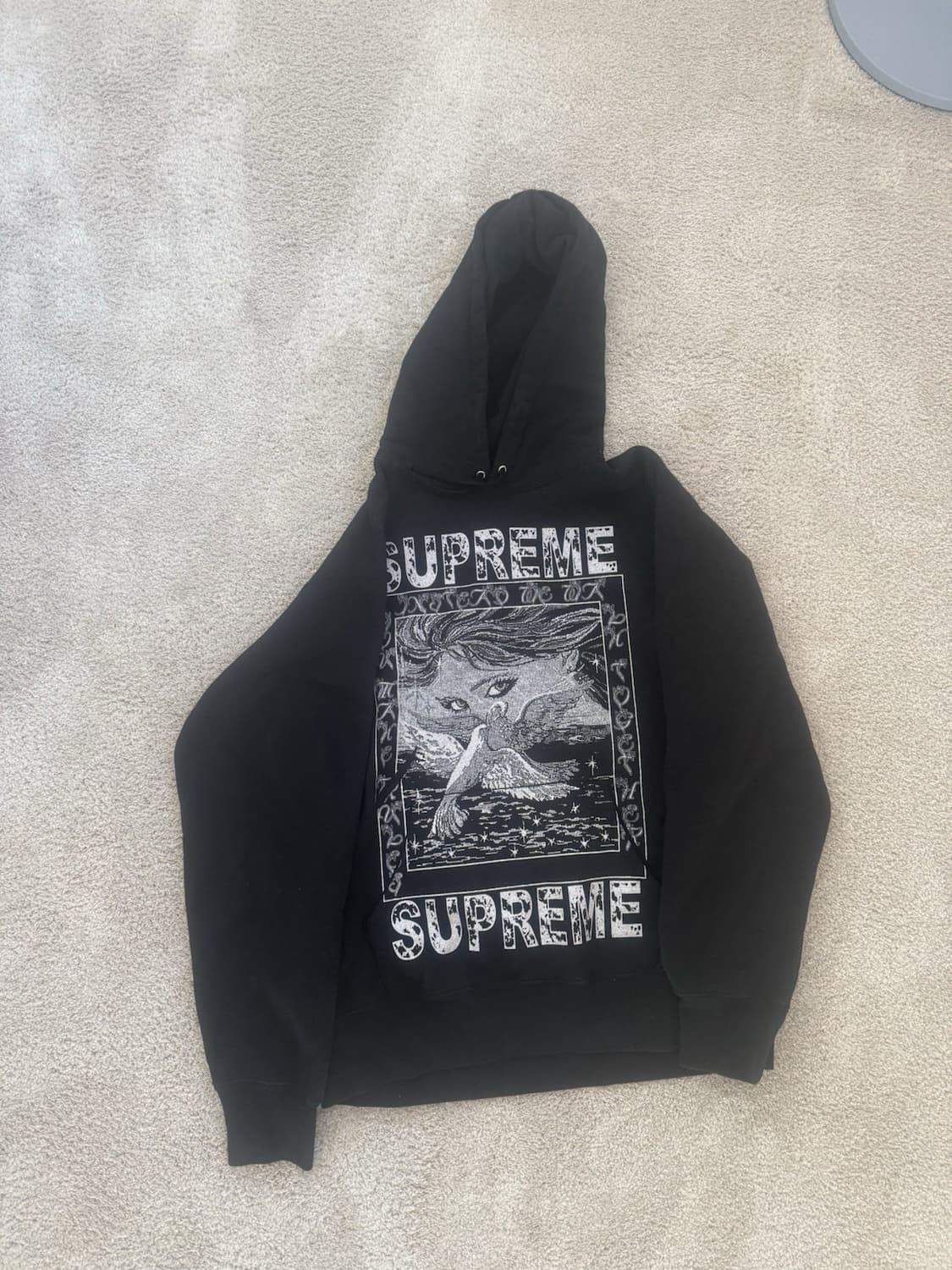 19FW 슈프림 도브 후드티 상품이미지1