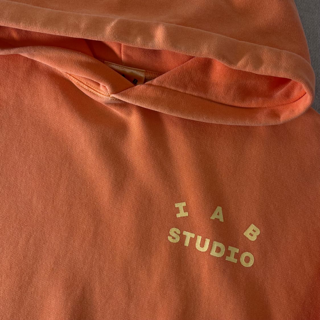 100 아이앱 스튜디오 피그먼트 살몬 후드티 상품이미지3