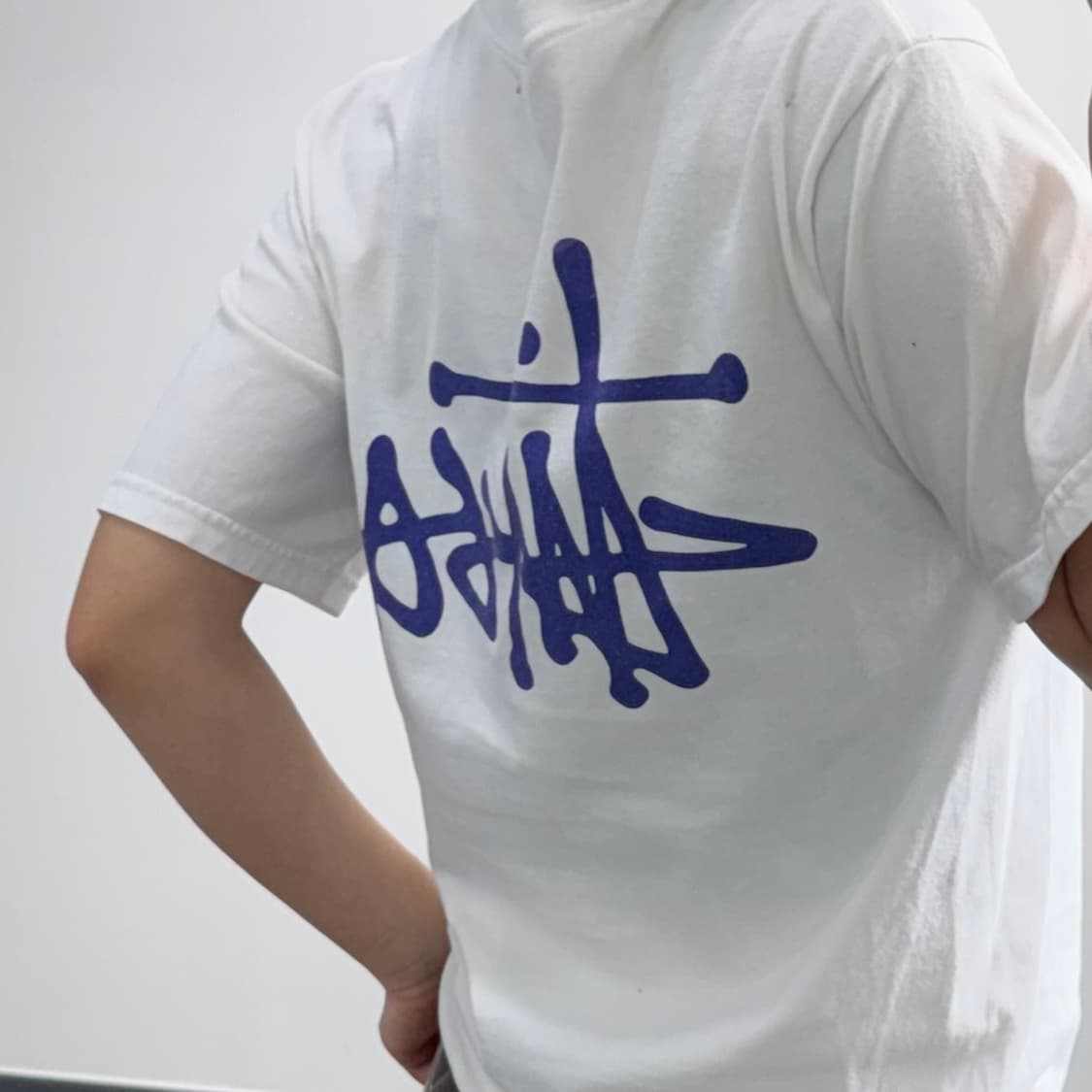 Stussy 스투시 백 퍼플 로고 반팔 상품이미지2