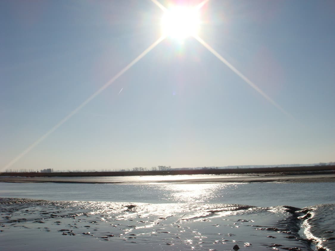 소니 사이버샷 Sony Cyber-shot DSC-T20 핑크 상품이미지5