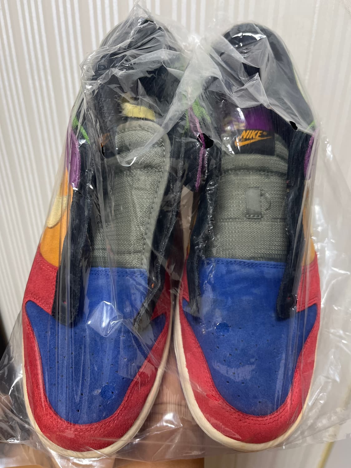 나이키 덩크 로우 SP 레트로 바이오테크 2019 상품이미지2