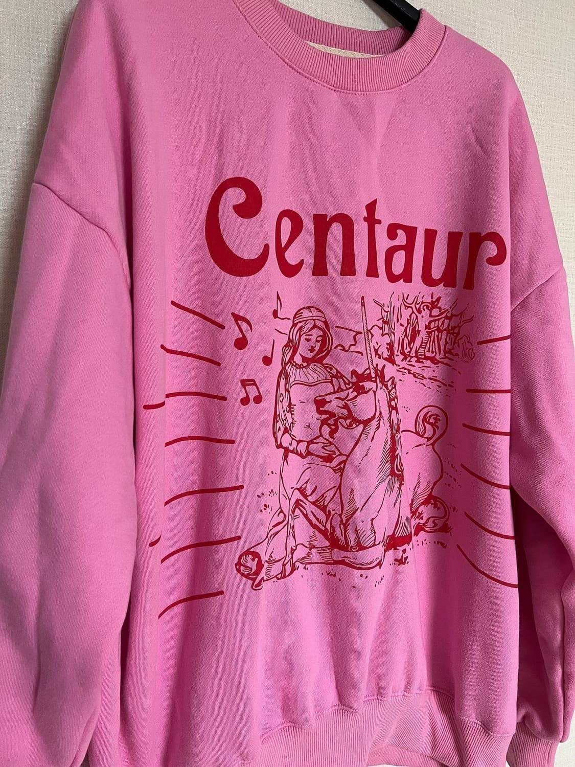 더센토르 기모 맨투맨 핑크 (이유비 맨투맨), 더센토르 맨투맨 상품이미지9