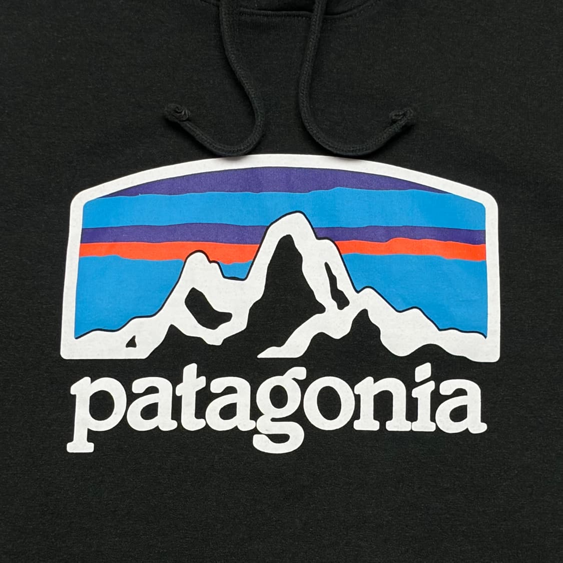 USA 빈티지 파타고니아 정품 빅로고 후드티 상품이미지3