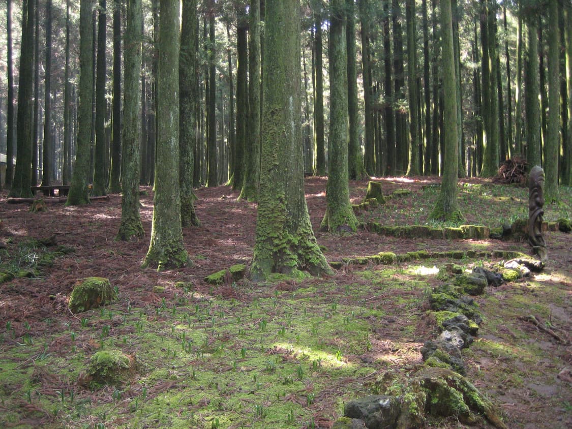 캐논 익시 60 (익서스 55) 디지털카메라 상품이미지9