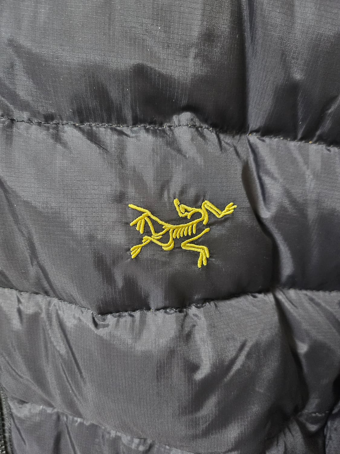 아크테릭스 토륨 후디 24k L사이즈 상품이미지2