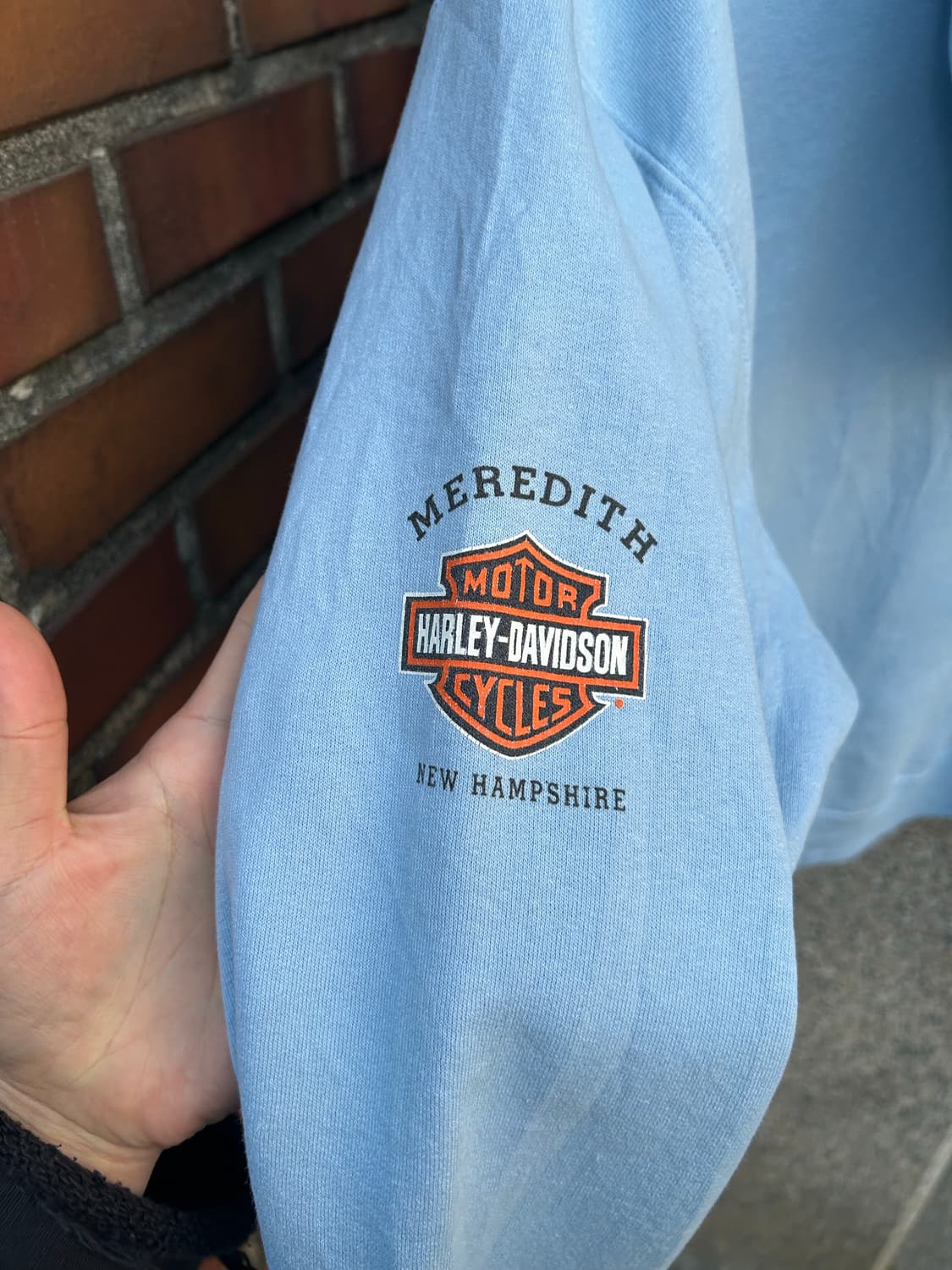 90‘s 할리데이비슨 후드집업 상품이미지7