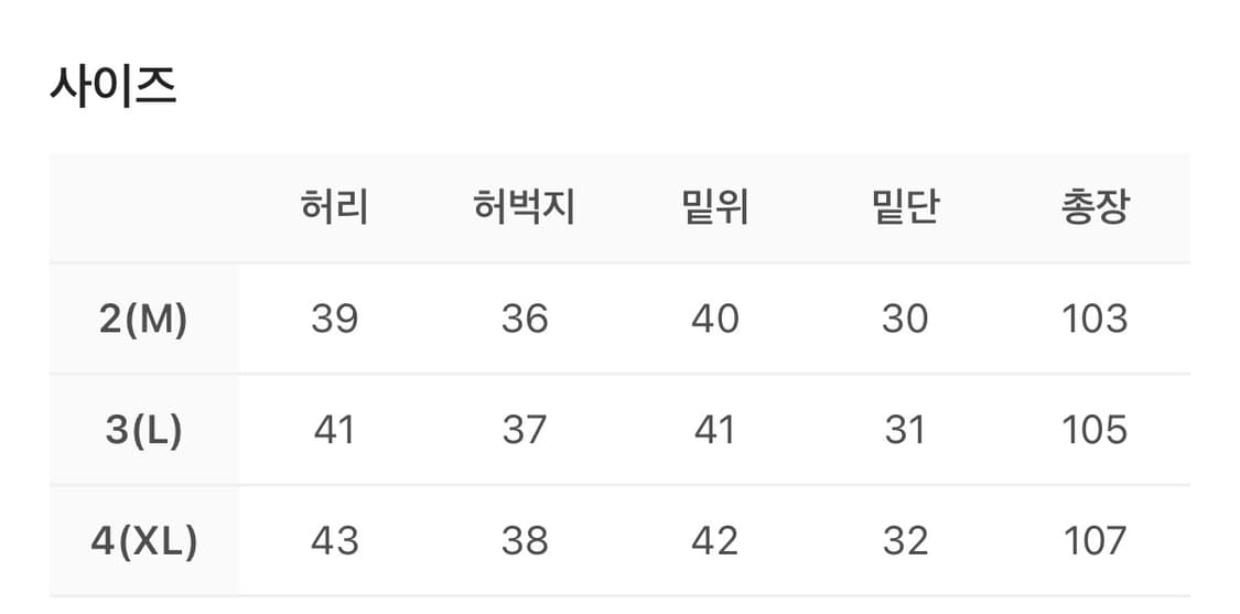 Polyteru 1011 Fleur Patched Pants Washed 상품이미지7