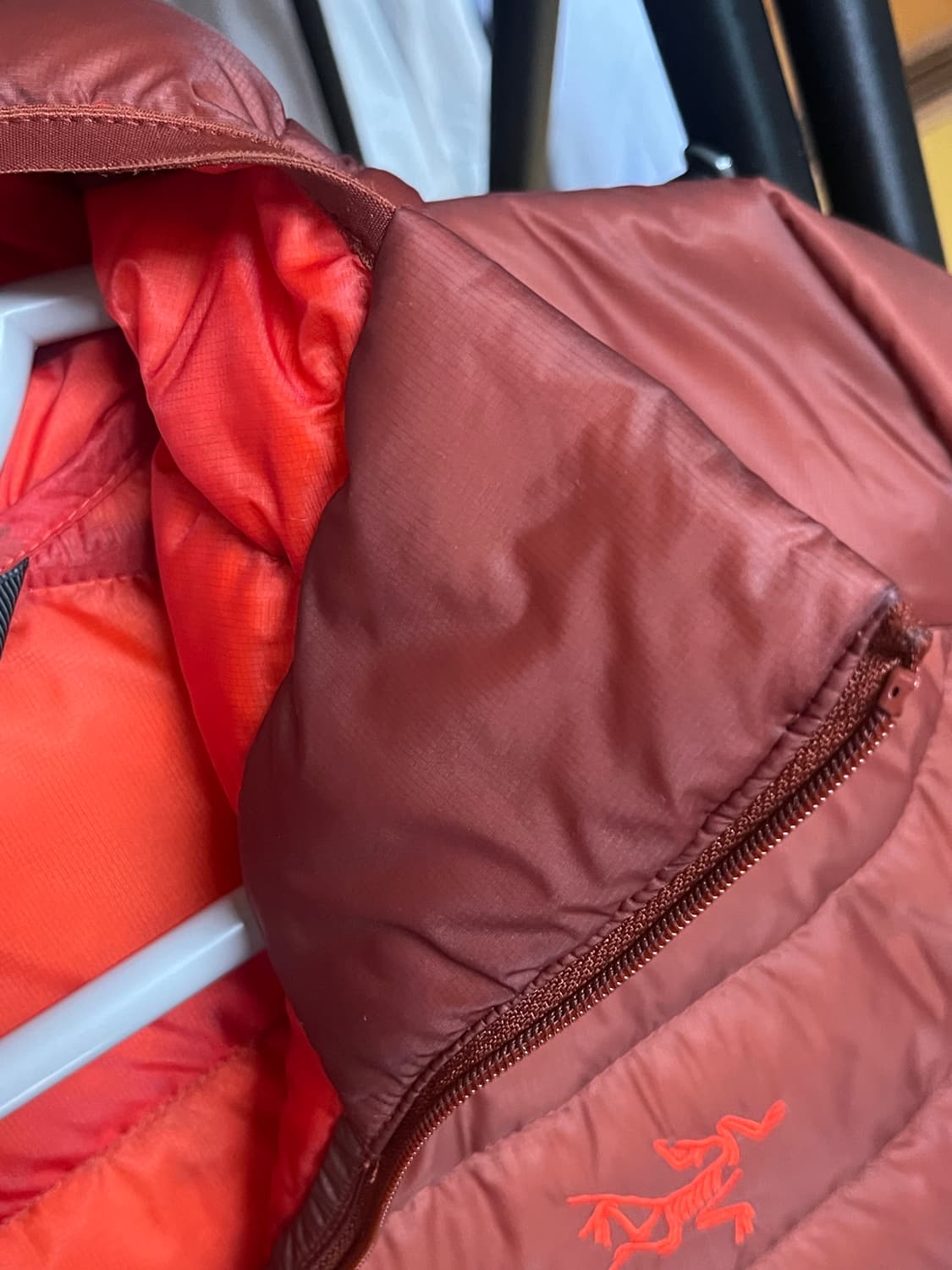 아크테릭스 세륨 L [색상:세콰이아 솔라리스] 상품이미지8