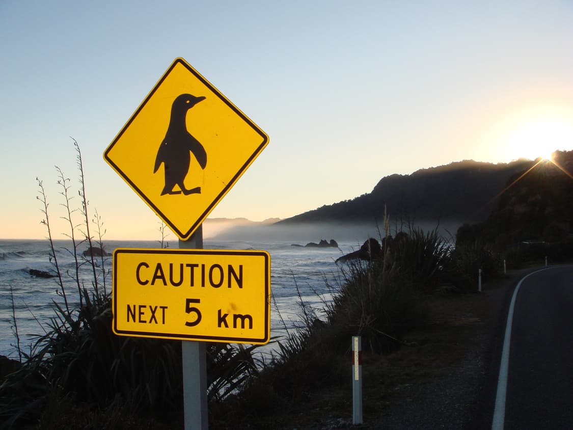 Sony t50 빈티지 디카 (mint) 상품이미지5