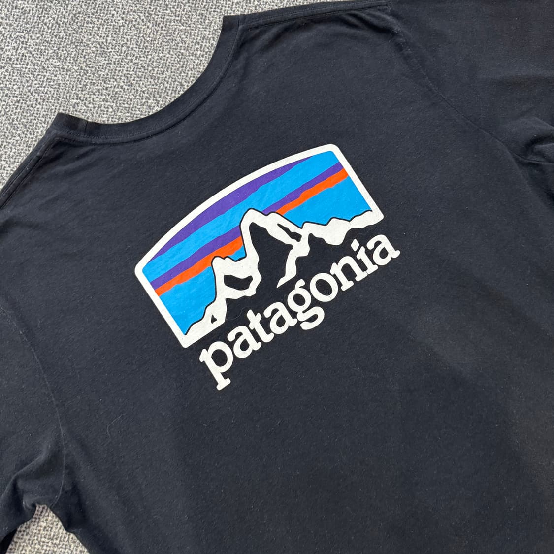 파타고니아 빅로고 반팔 상품이미지3