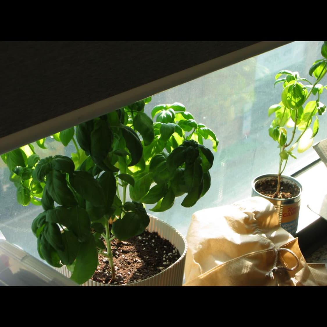 작례⭕️ 캐논 PowerShot 파워샷 S30 스톤 화이트 빈티지 디카  상품이미지6