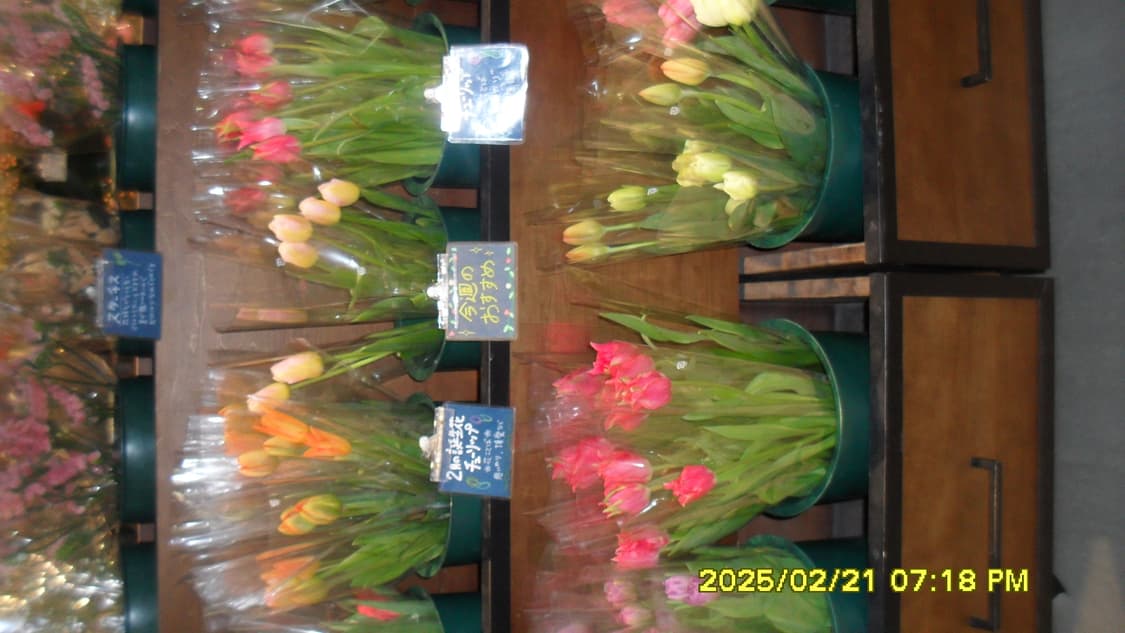 Samsung VLUU ES55 상품이미지6