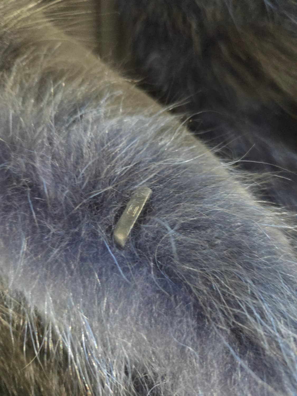 Klever by Jindo (진도모피) 리얼 천연모피 믹스 퍼 베스트 상품이미지6