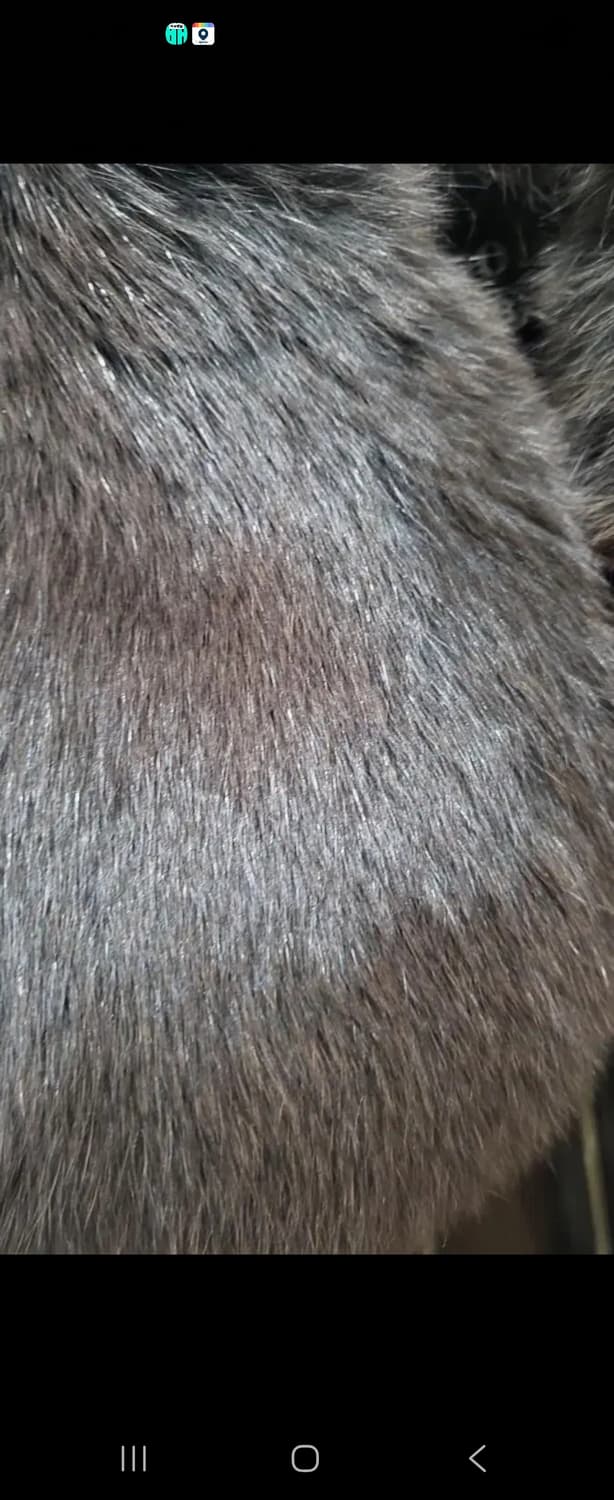 에고이스트여성무스탕 상품이미지3