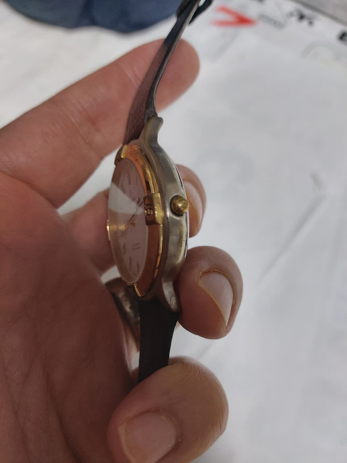 그로바나 오토매틱  상품이미지2