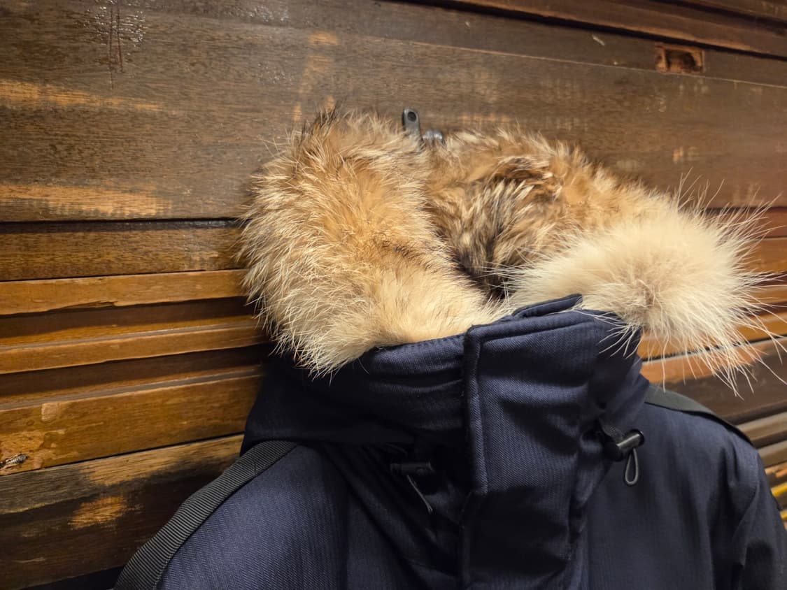 노비스 구스다운자켓  상품이미지9