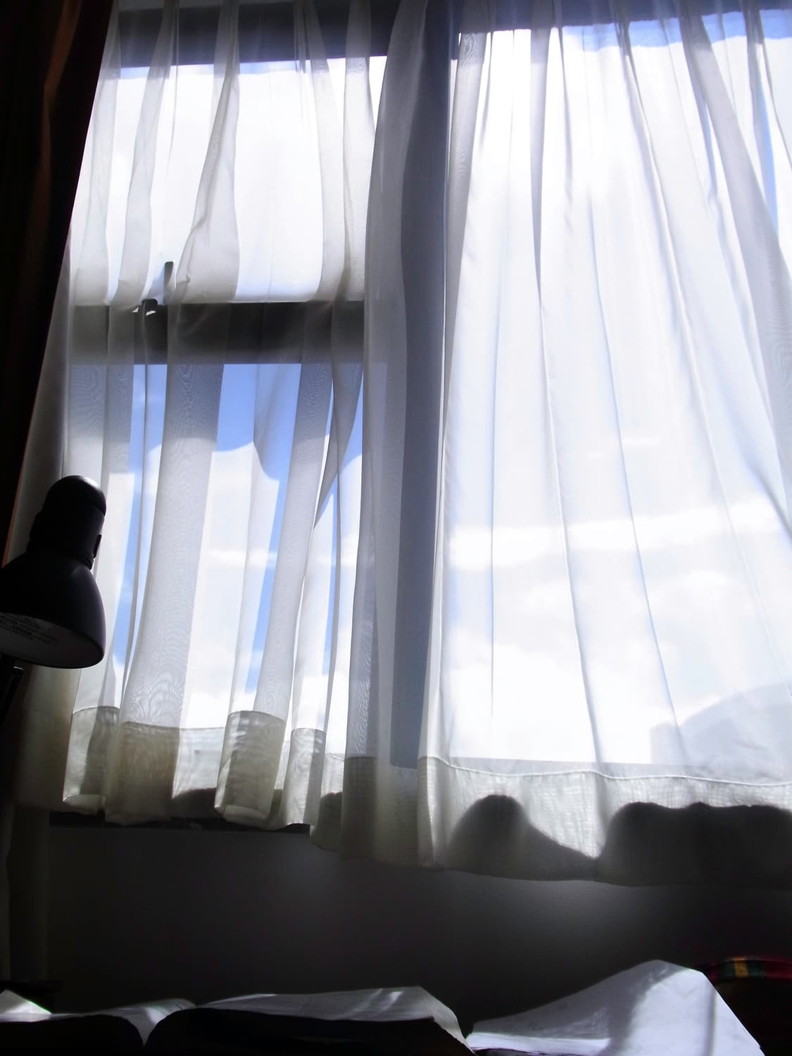 [필름색감!] 리코 CX2 블랙 디지털카메라 상품이미지9