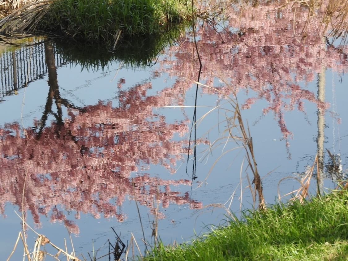 [작례/바로 사용] 캐논 파워샷 D20 디카 상품이미지10