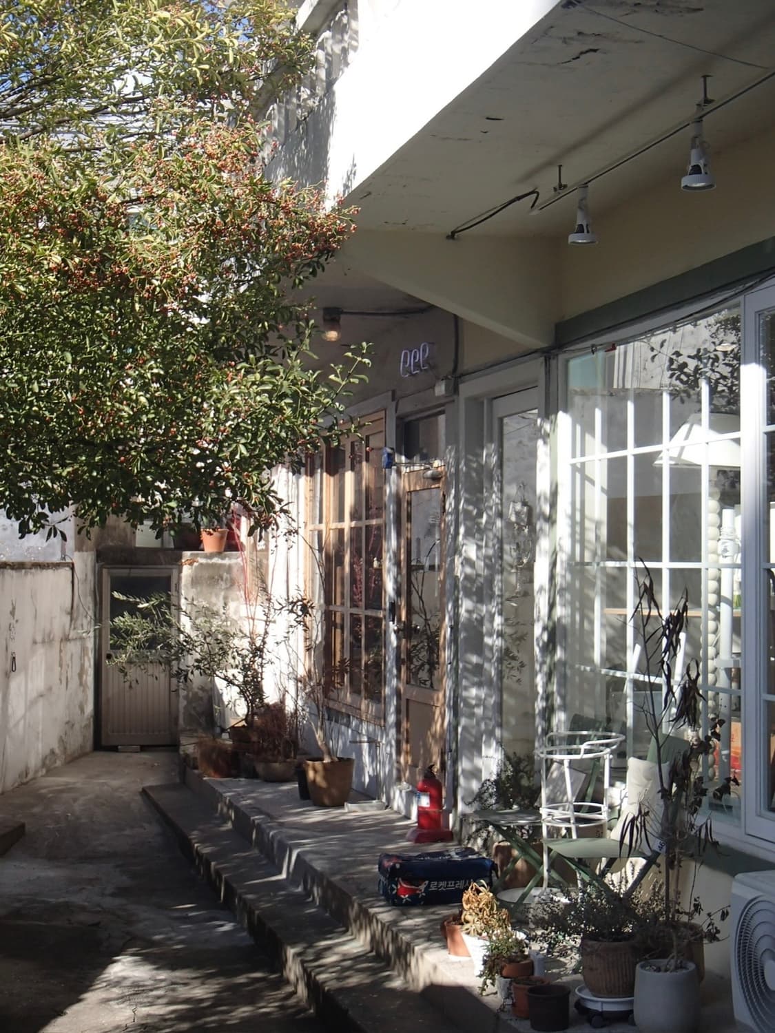 올림푸스 FE-330 빈티지디카 디카 상품이미지3