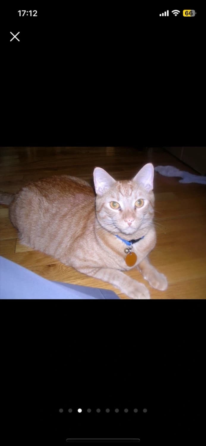 니콘 쿨픽스 3100 최저가 상품이미지7