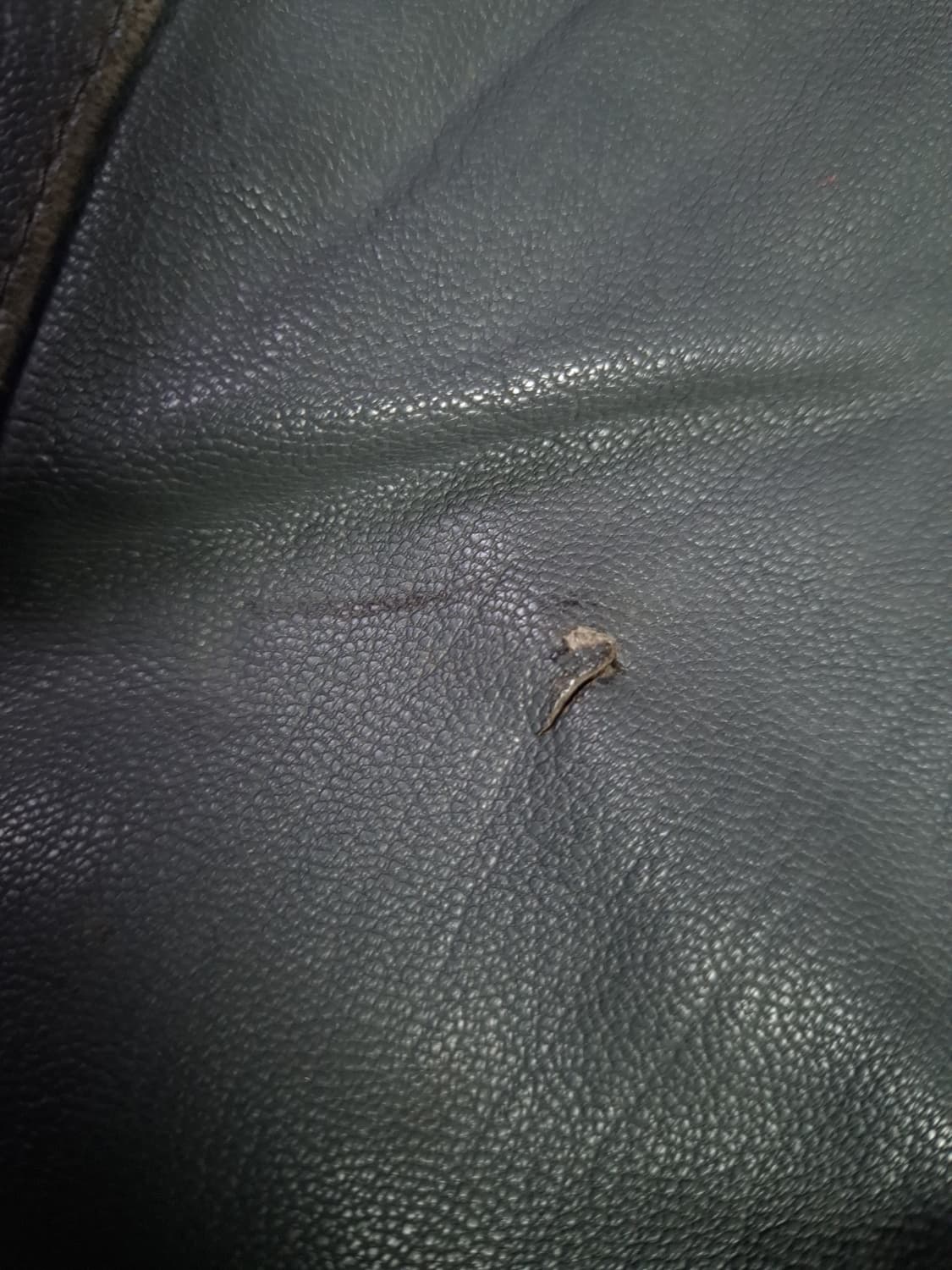 오리지날 독일군 리얼레더 플라이트 항공자켓 상품이미지5