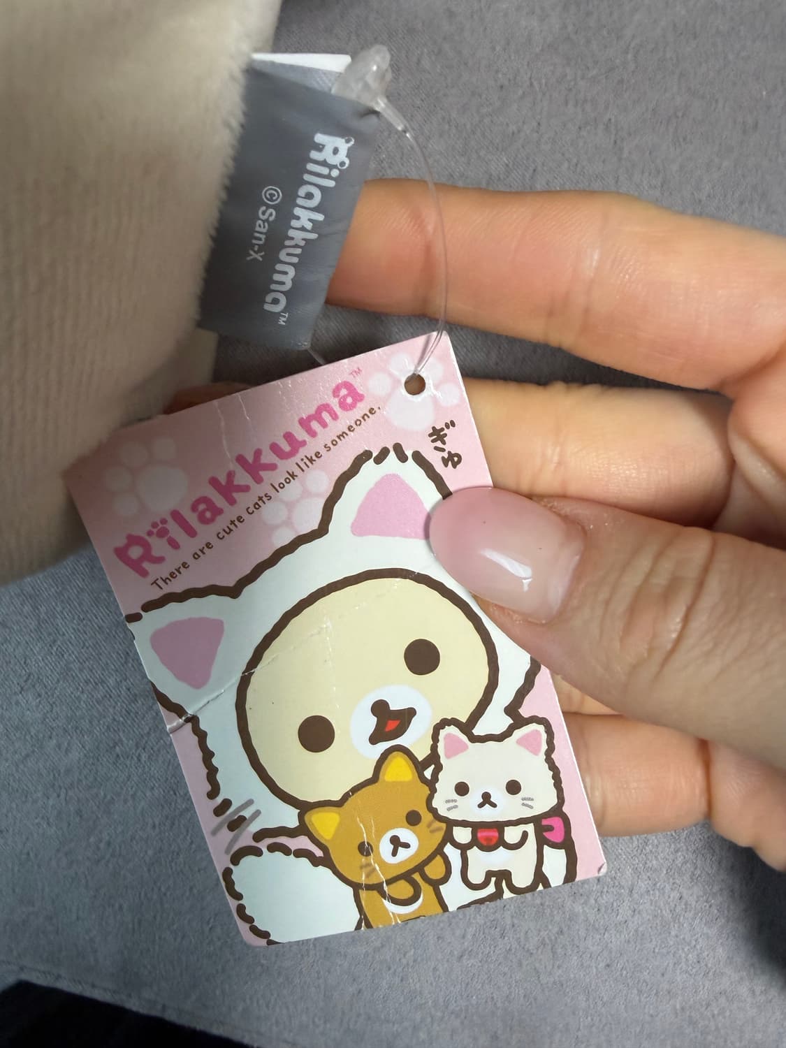 일본 정품 고전 코리락쿠마 대형인형 고양이 왕관 키이로이토리 상품이미지4