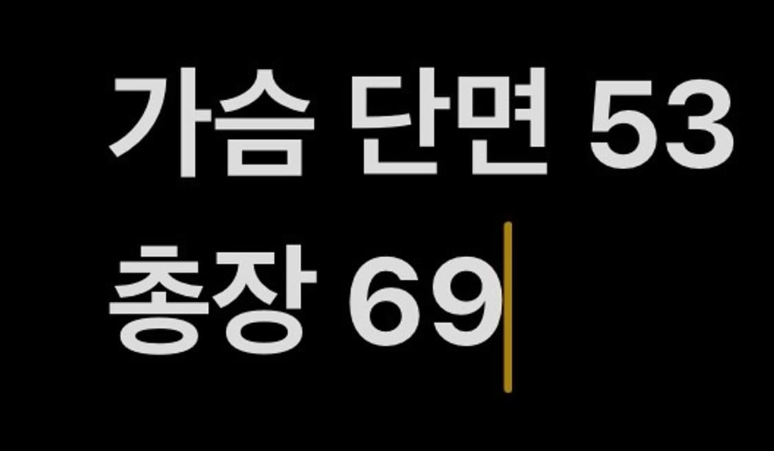 [정품/105] 르꼬끄 FC서울 반집업 긴팔티셔츠 블랙 b14 상품이미지9