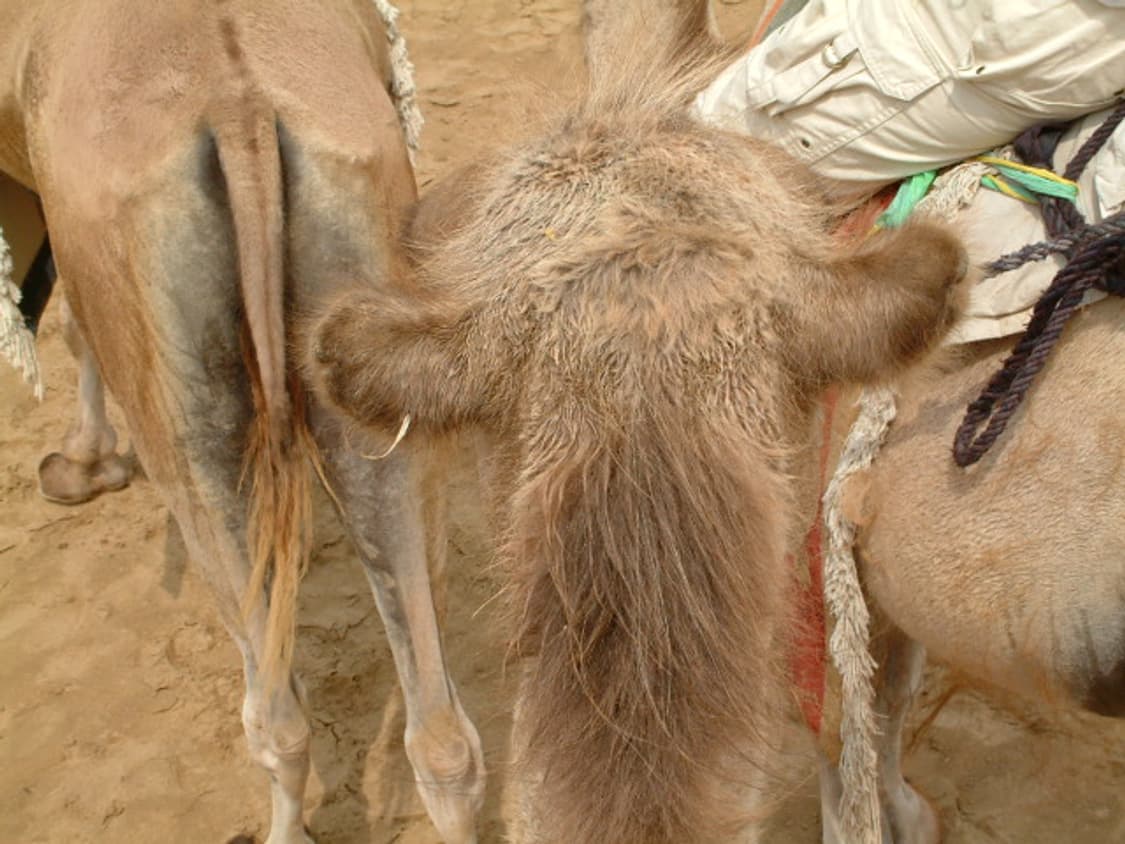 후지필름 FinePix S602Zoom 디카 (빈티지 카메라) 상품이미지7