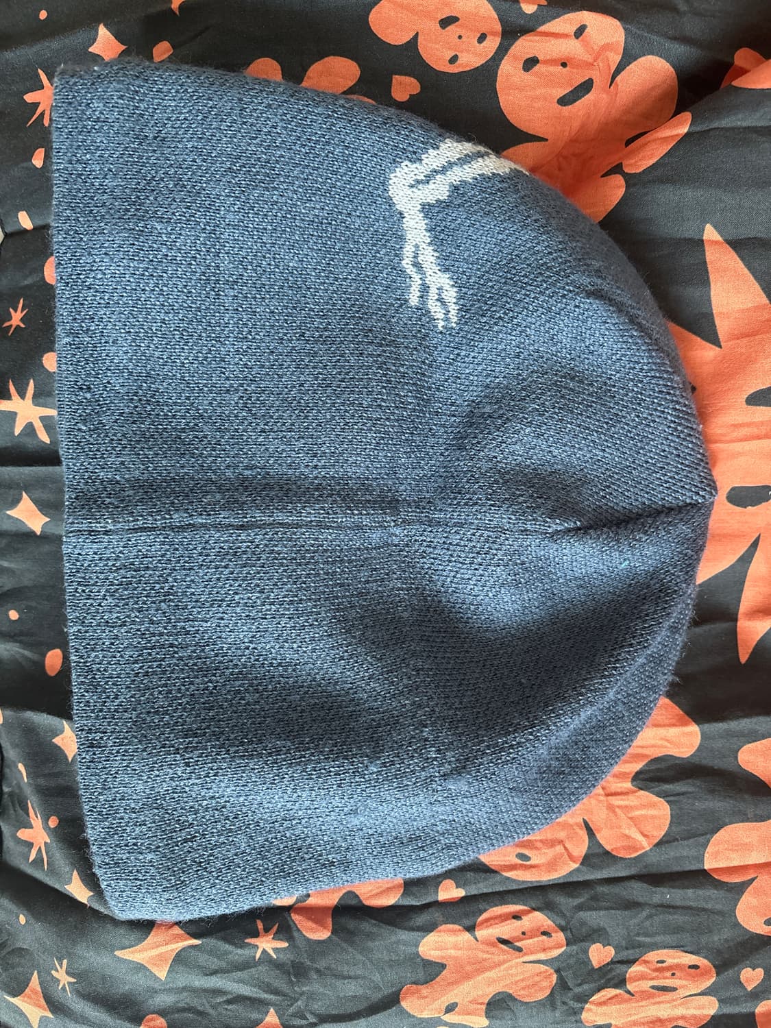 아크테릭스 버드 헤드 토크 비니 상품이미지2