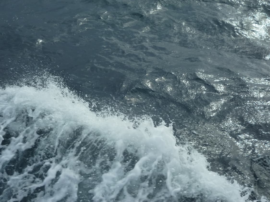 디카 상태 매우 좋음! 파나소닉 루믹스 lumix dmc-s1 상품이미지9