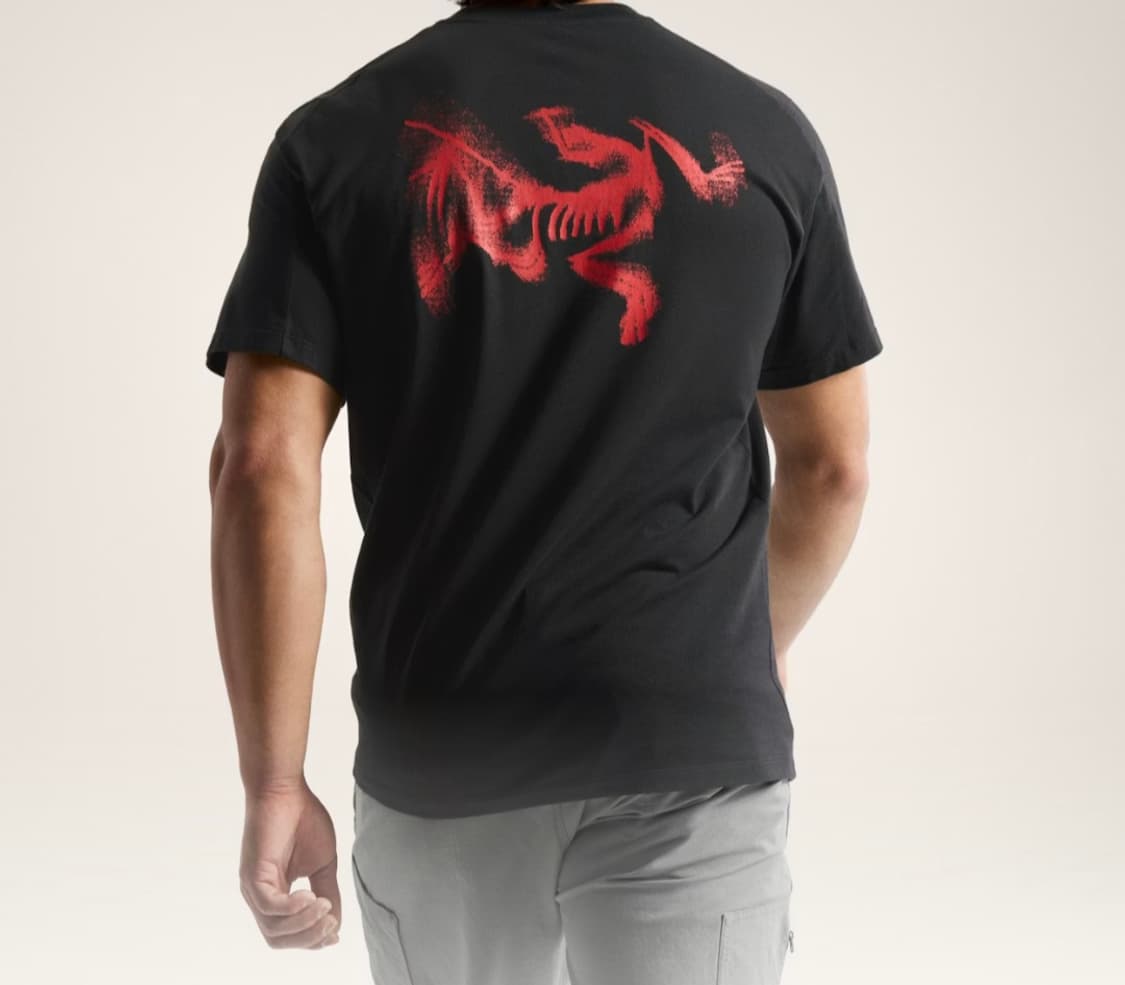 (새상품/정품)아크테릭스 블러버드 반팔티 L 상품이미지2