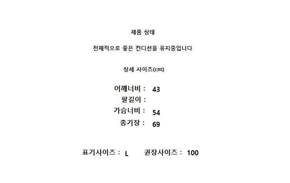 THE NORTH FACE (100) 상품이미지8