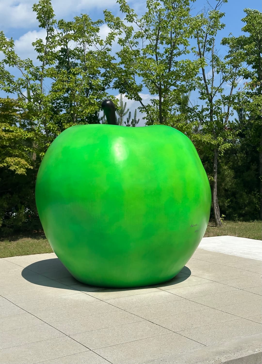 카멜 상품이미지1