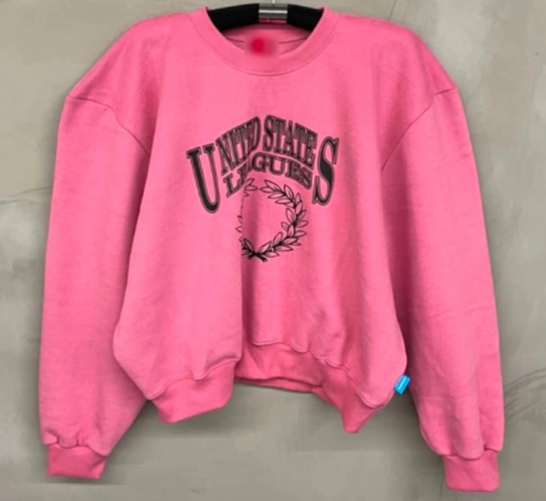 fortune apparel 핑크 기모 맨투맨 상품이미지9