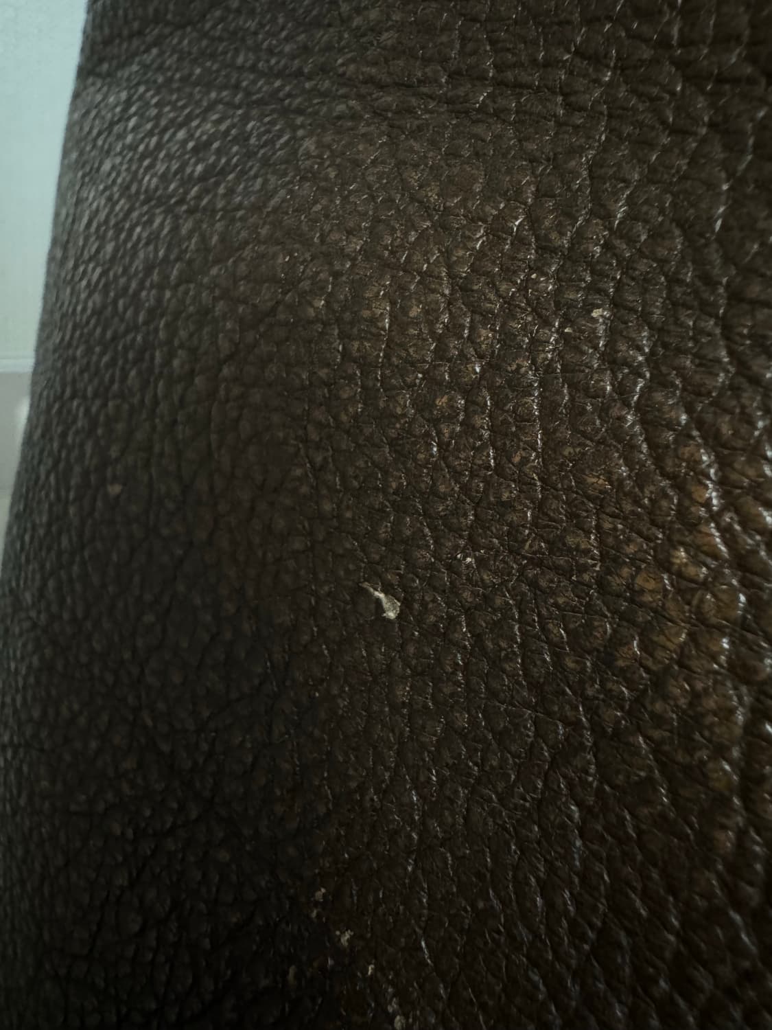 아비렉스 AVIREX A2 핀업 걸 자켓 상품이미지9