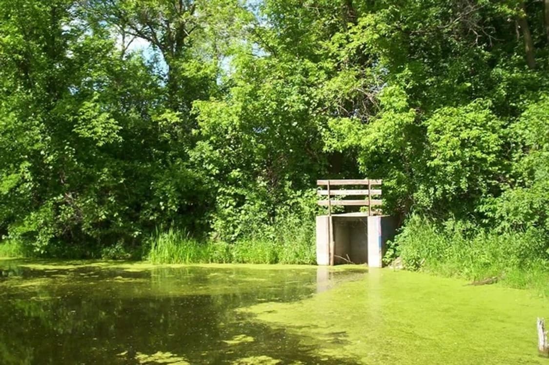 필름감성!) 코닥 이지쉐어 cx6200 상품이미지9