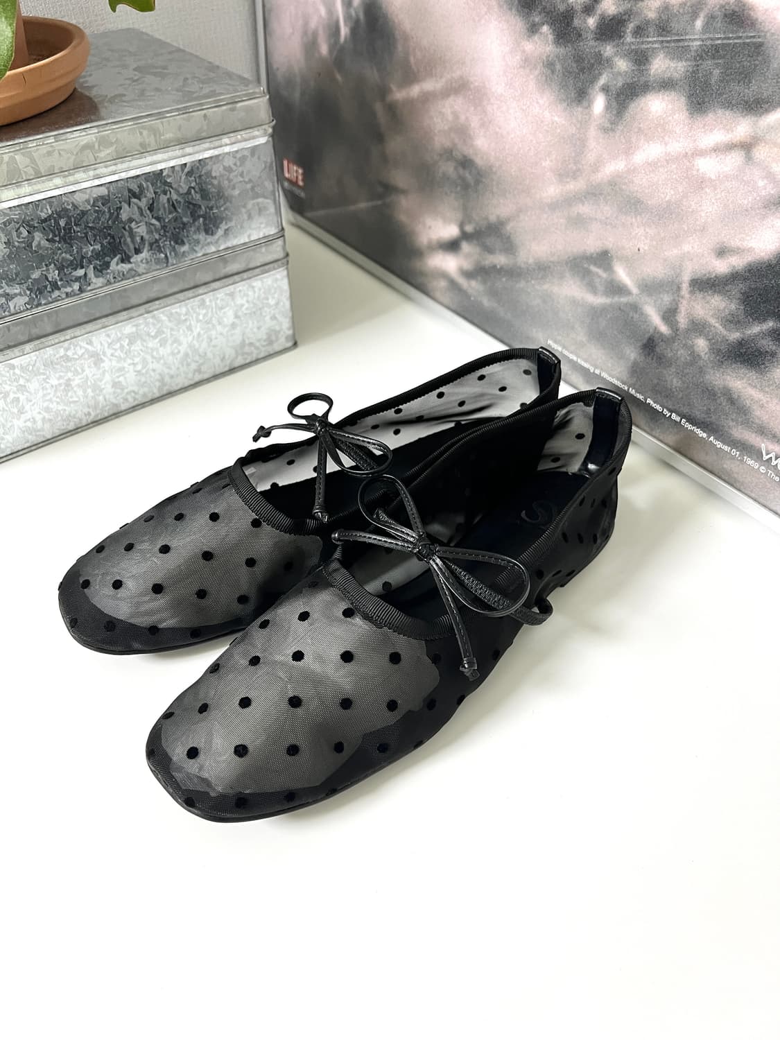 SY UNITED ARROWS-DOT FLAT SHOES  상품이미지2
